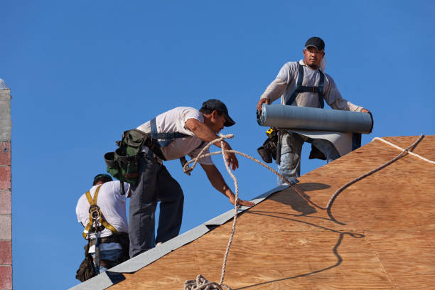 Best Tile Roofing Contractor  in Daingerfield, TX