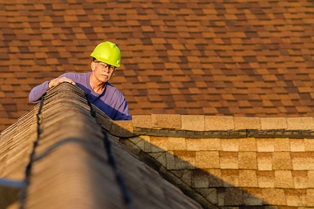 Best Roofing Contractor Near Me  in Daingerfield, TX