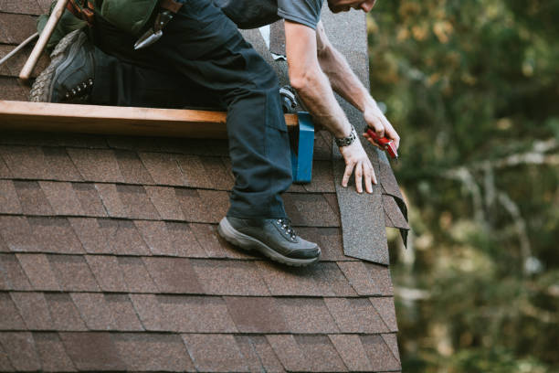 Best Roof Maintenance Services  in Daingerfield, TX
